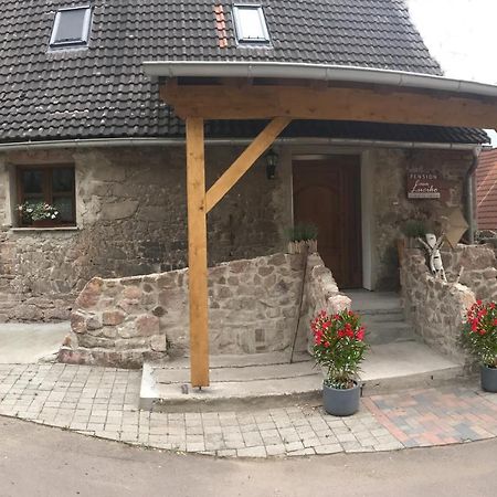 Pension Casa Luciko Brachwitz Eksteriør billede